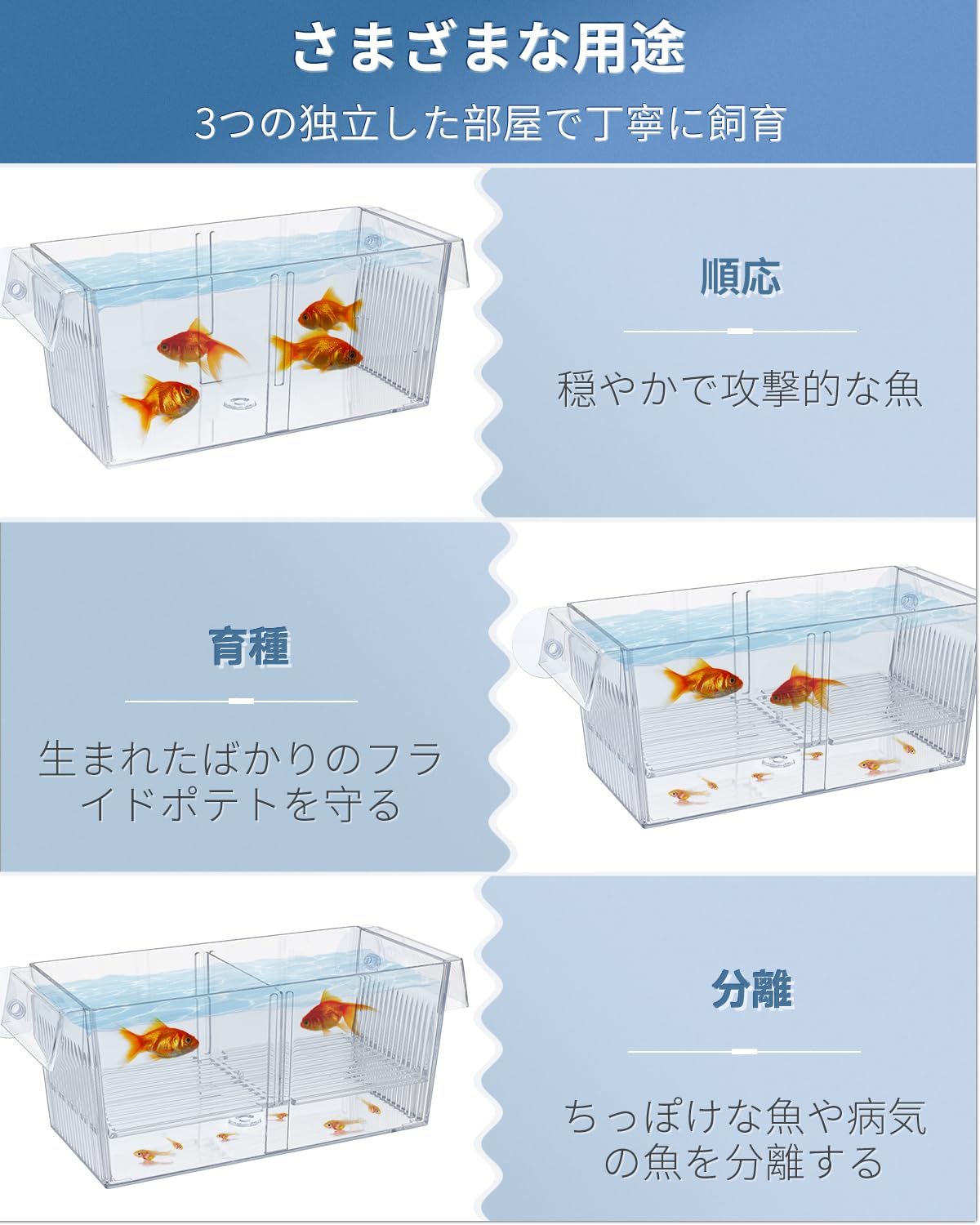 Amazon.co.jp: 繁殖隔離ボックスアクリル 17*10 cm(WxH) 稚魚 大型隔離